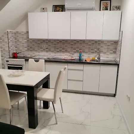 Kovacevic 1